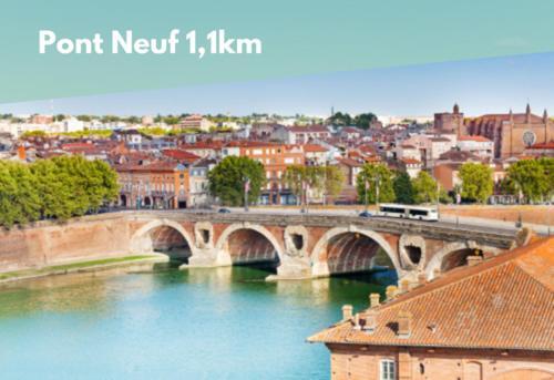 L'Estival Champetre - Metro Et Tramway A Cote Apartment Toulouse Ngoại thất bức ảnh